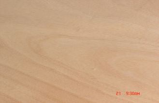 แผ่นวีเนียร์ Okoume โรตารีสีเหลืองสำหรับแผ่น Chipboard ขนาด 0.2 มม. - 0.6 ม.ม. หนา